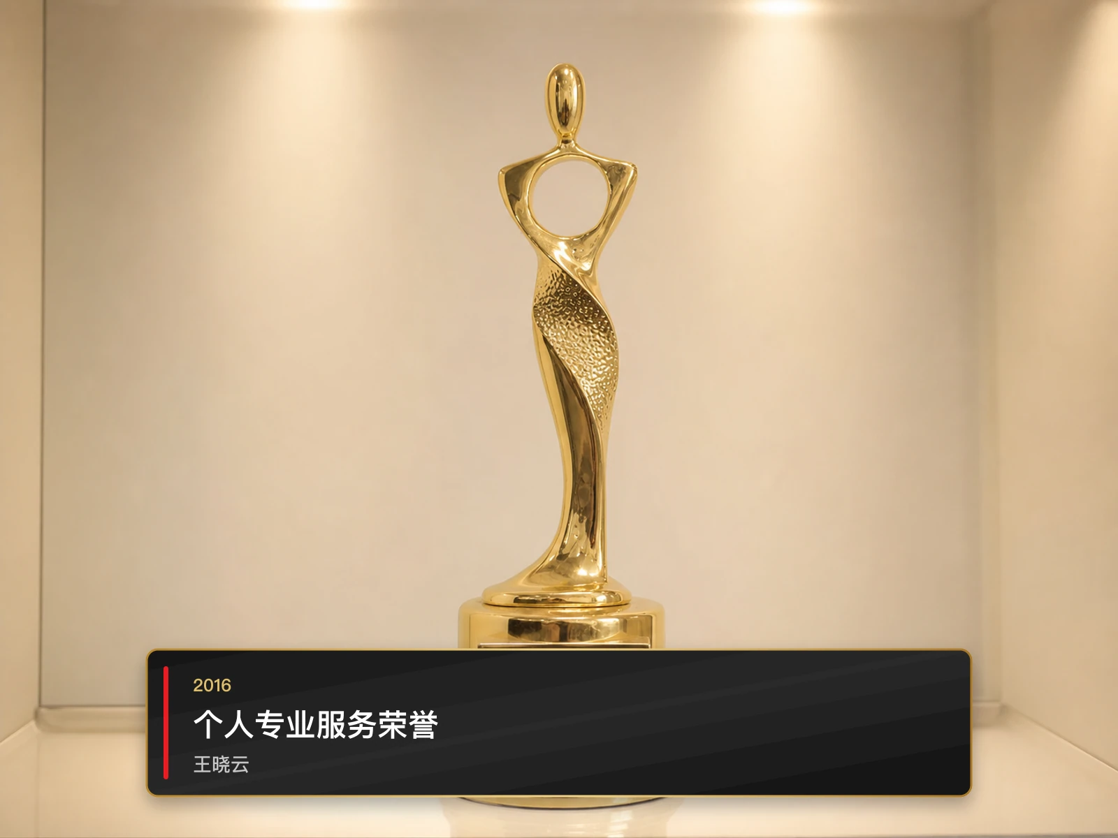 个人专业服务荣誉，王晓云